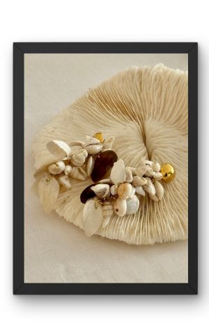 “La Mouche”