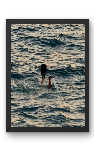 “Into The Blue”